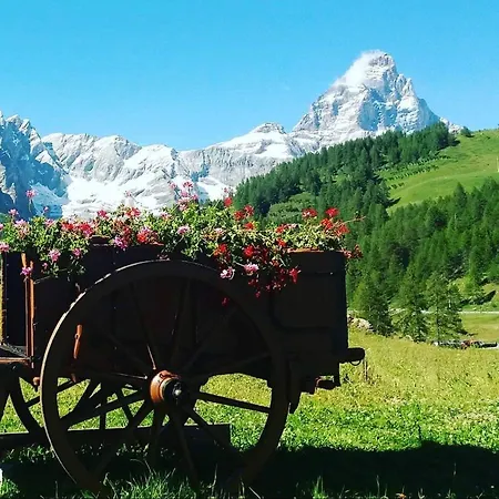 La Luge * Valtournenche