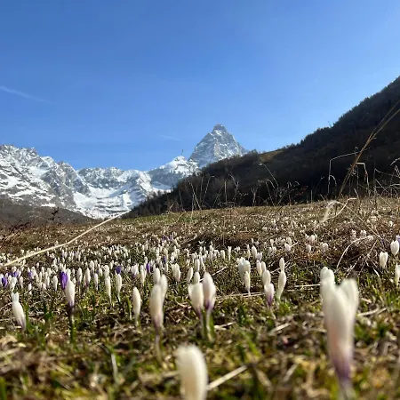 La Luge Pensionat